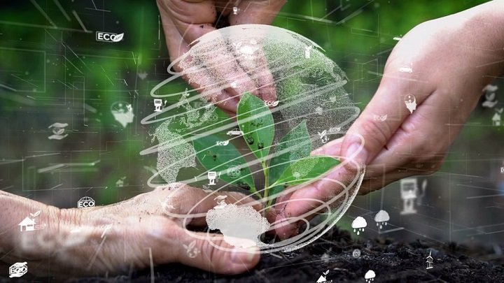 AI's impact on environmental science