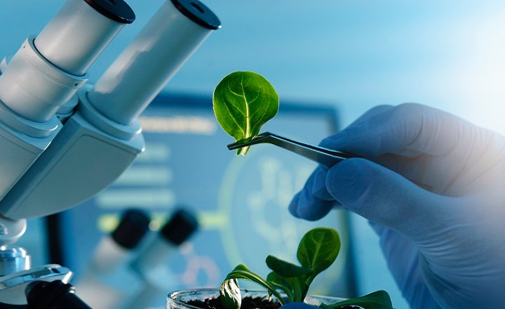 B.Tech Biotechnology Scope